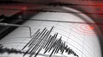 AFAD duyurdu: Bingöl'de deprem!