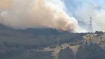 Ekipler müdahale ediyor... İzmir Aliağa'da orman yangını!