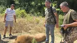 Antalya'da Aslan Faciası! İşletme Mühürlendi, Sır Perdesi Aralandı!