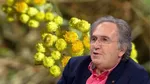 Saraçoğlu'ndan Şeker Hastalarına Müjde! Kan Şekerini Düşüren O Kür!
