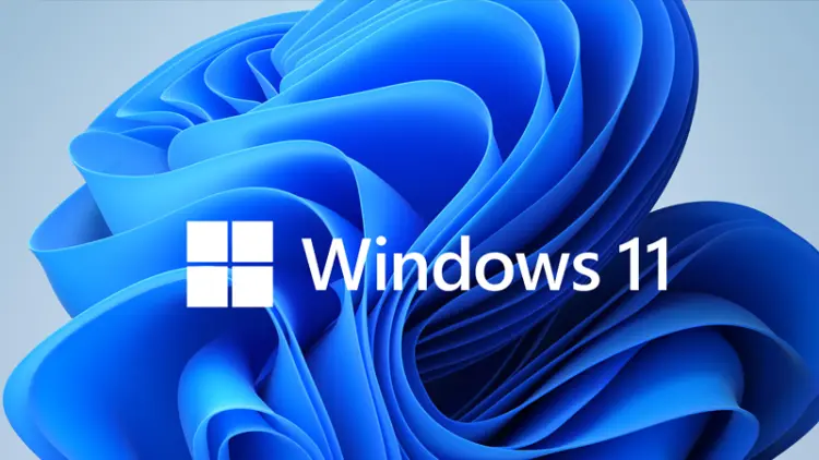 Windows 11'e yeni özellik; ekran görüntüsü almadan metin kopyalama devri